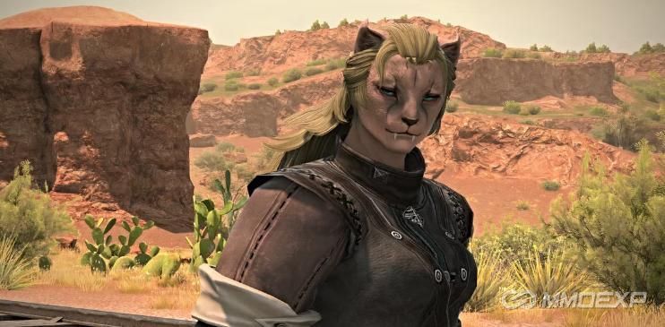 Final Fantasy XIV: How to Start and Progress Nitowikwe Custom Deliveries