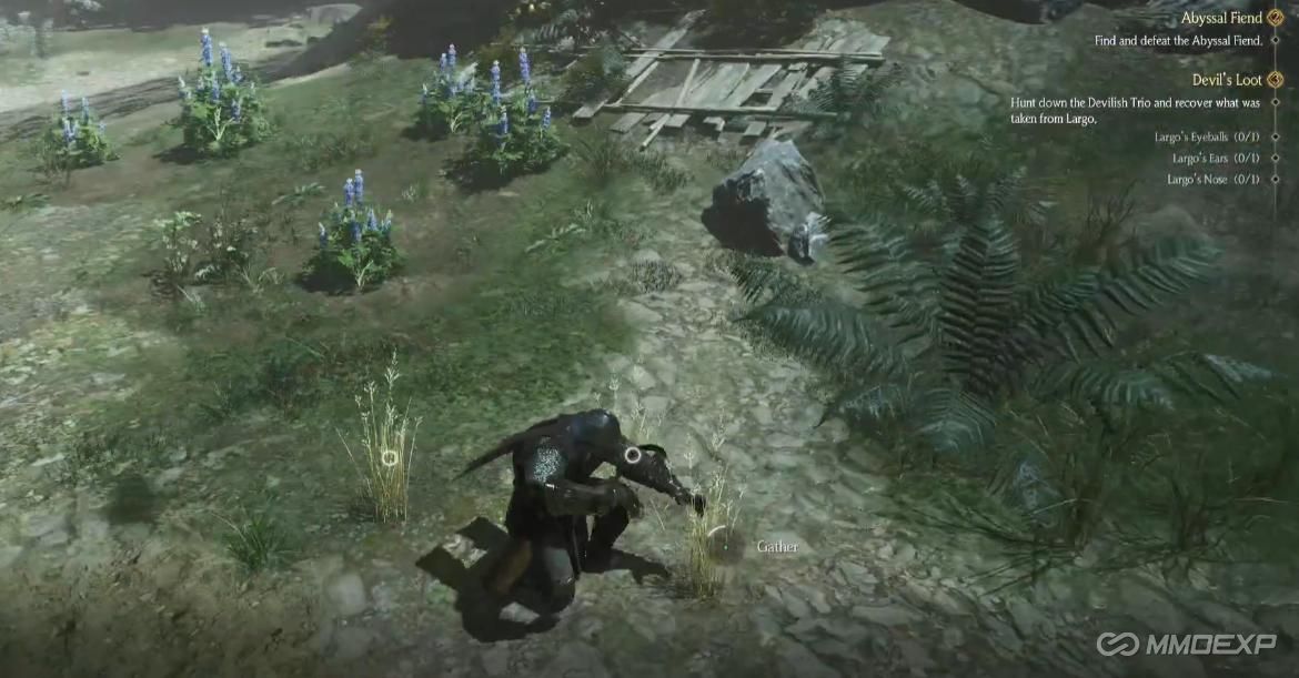 Wheat Farming Locations in Chrono Odyssey