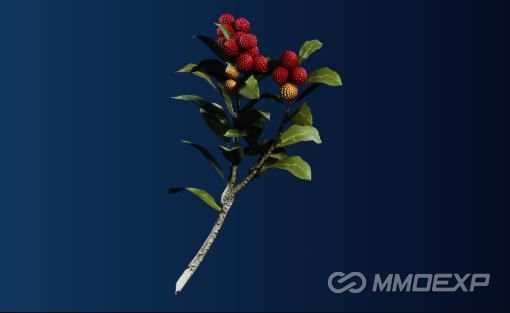 Where to Find Candleberries in Arc Raiders