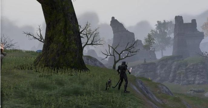 ESO Starting Zones Guide: Best Zone for Each Race