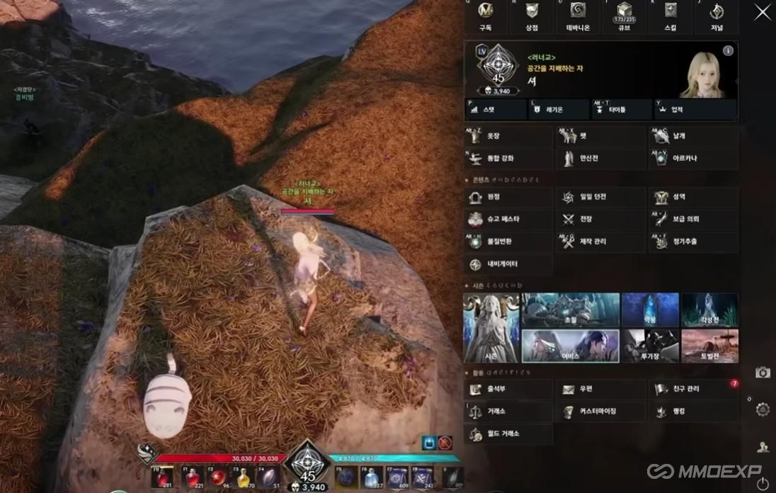 Aion 2 Arcana Guide: Frenzy, Purity, and Libra Combinations