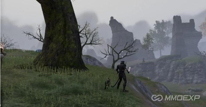 ESO Starting Zones Guide: Best Zone for Each Race