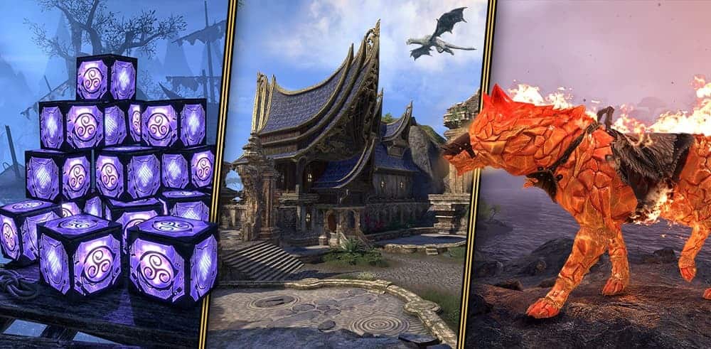 500 Crown Bundles