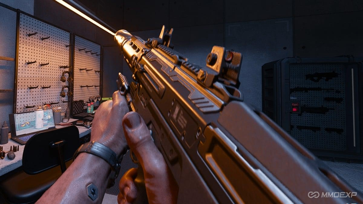 Weapon Inspection