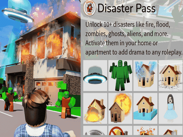 Disaster Pass