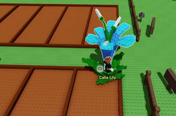 Grow a Garden 2 Pets,GaG2 Pets,Grow a Garden 2 Black Dragon Pet,Grow a Garden 2 Pets