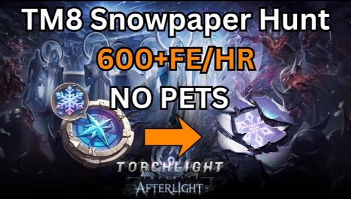Torchlight: Infinite Services