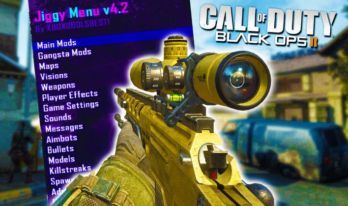 Black Ops 2 hackers and cheaters