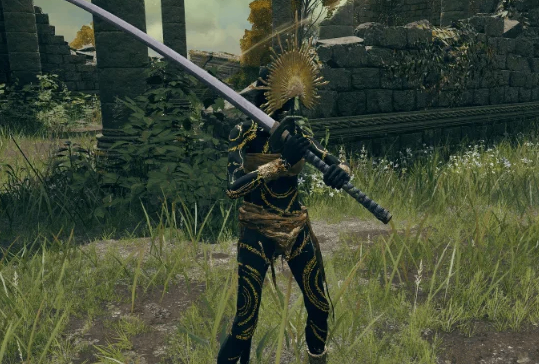 Elden Ring,Golden Order Flail PvP Build,Switch 2,buy Elden Ring Runes