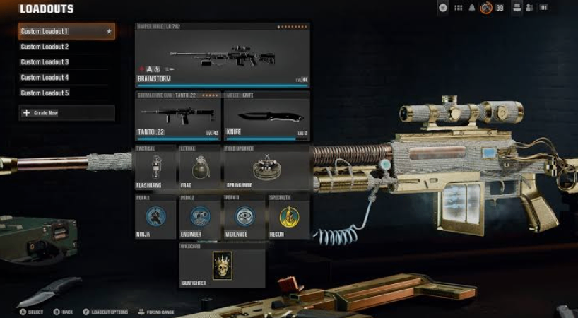 Gunfighter wildcard build