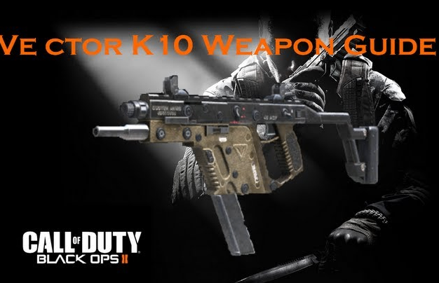 Vector K10