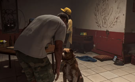 Vice City Map,NPC Behavior,buy GTA 6 Money,cheap GTA 6 Money