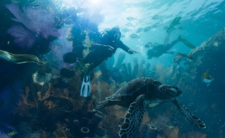 GTA 6 promotional footage featuring wildlife and animals across Vice City, beaches, waterways, and other areas of the open world.