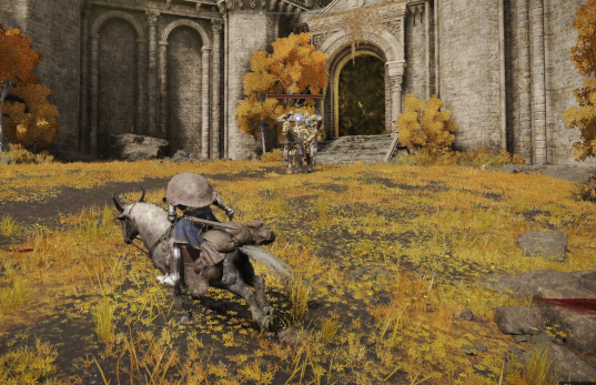 Elden Ring,DLC,Stone Combo Wizard,Build,buy Elden Ring Runes