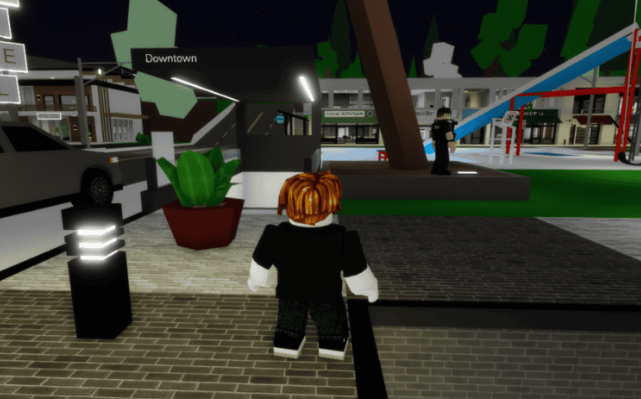 buy Brookhaven RP Items,cheap Brookhaven RP Items,Brookhaven RP Items for sale