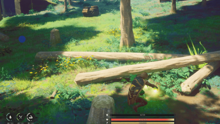 RuneScape Dragonwilds,Dragonwilds Beginner,RuneScape gold,cheap RS gold