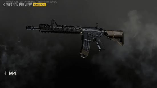 CoD Modern Warfare 4 Bot Lobbies,CoD MW4 Bot Lobbies,Weapon Meta,TTK