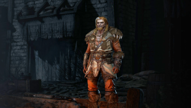 Diablo 2 Resurrected Druid using Werewolf and Werebear skills in combat