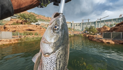 Fishing Guide,Master Fishing,Delta Force All Fish,buy Delta Force Tekniq Alloy