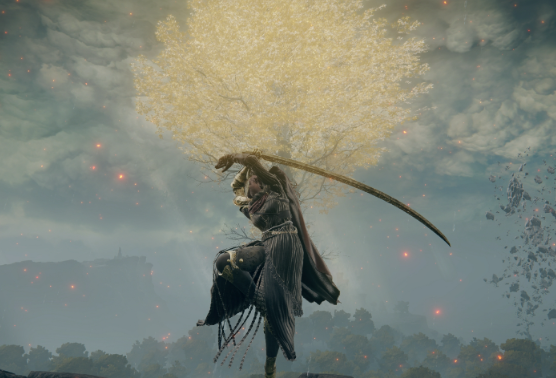 Elden Ring Tarnished Edition: The Best Reverse-Bladed Sword Build (DEX/INT)