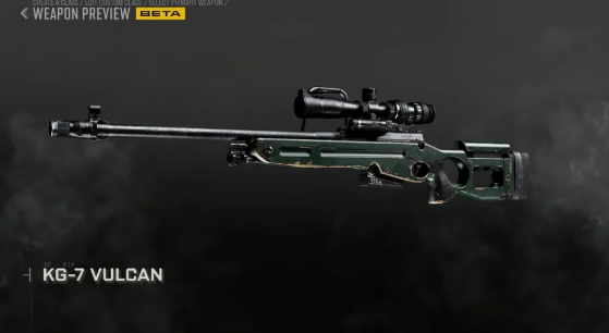 CoD Modern Warfare 4 Bot Lobbies,CoD MW4 Bot Lobbies,Weapon Meta,TTK