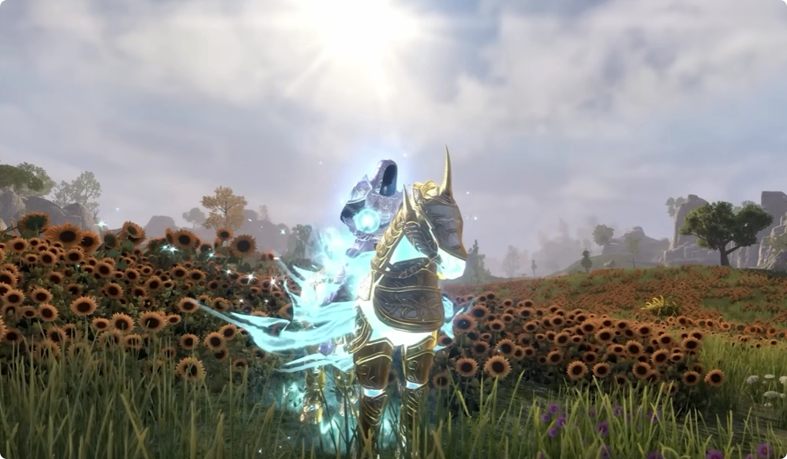 The Elder Scrolls