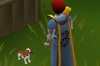 OSRS A Ruff Situation introduces adoptable puppies and 12 dog breeds to Gielinor in the September 2026 update.