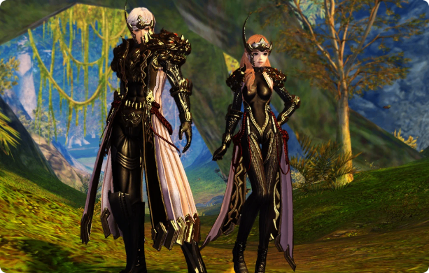 Aion 2,Templar,Macro,DPS,Setup,buy Aion 2 Kina